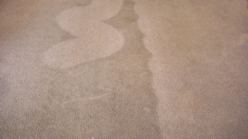 Carpet cleaning before after5