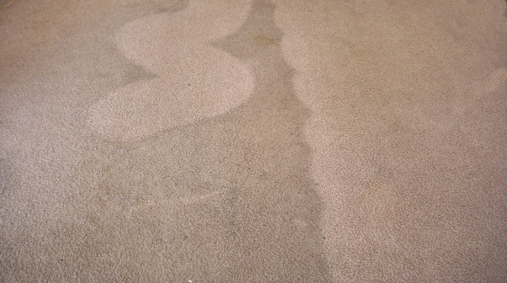 Carpet cleaning before after5