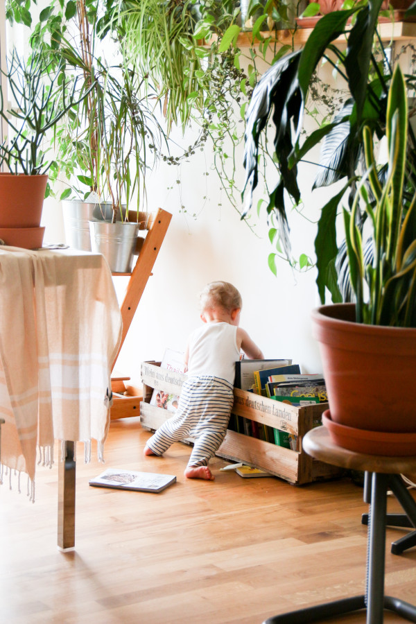 Eco Friendly Home with Carpet Science