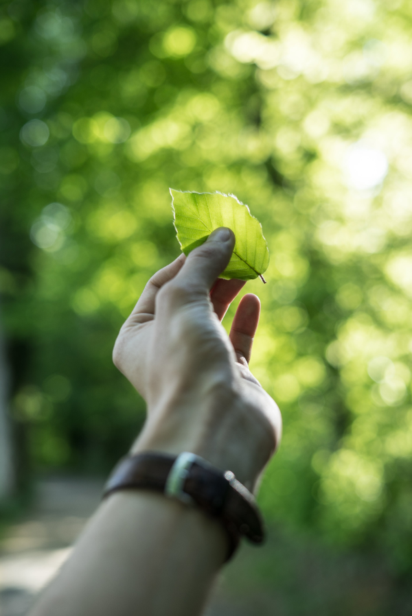 Eco Friendly Carpet Cleaning - Carpet Science