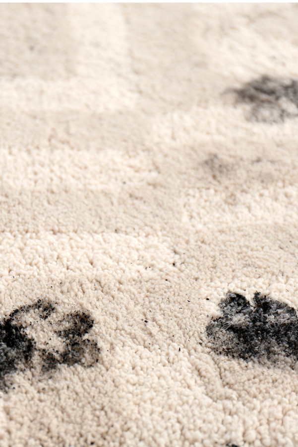 Pet stains and dirt on carpet
