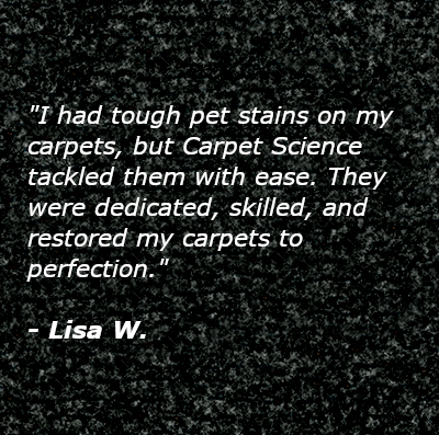 Grey nylon fiber carpet texture. Acrylic fiber seamless background. Cut pile saxony floor rug fabric textile.